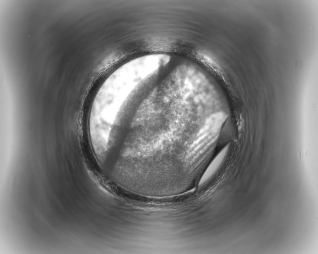 X0000084520682200703161548