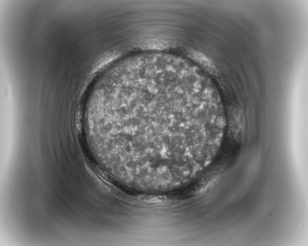 X0000084520683200703161548