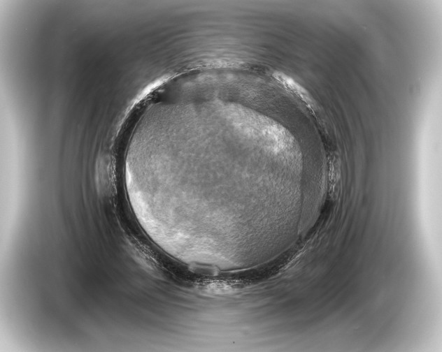 X0000084520684200703161548