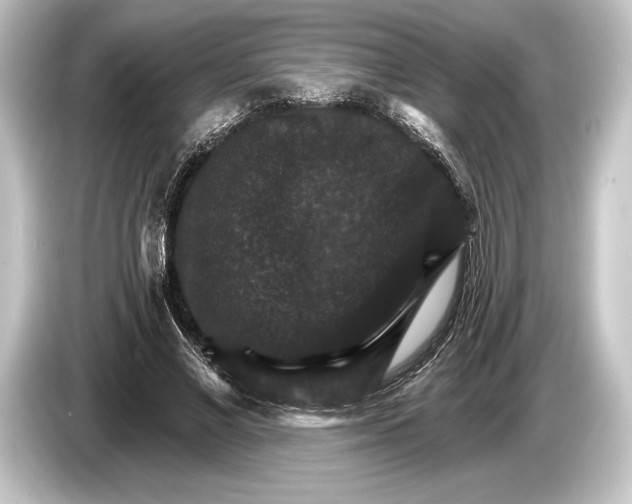 X0000084520685200703161548