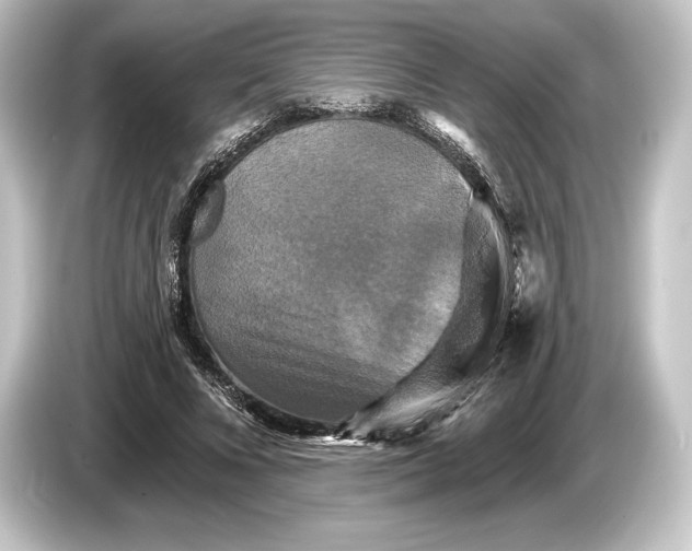 X0000084520688200703161548