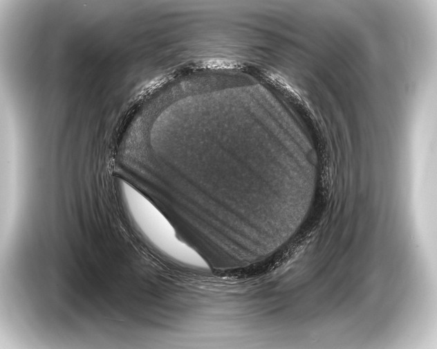 X0000084520689200703161548