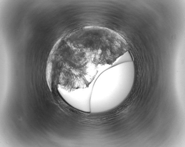 X0000084520691200703161548