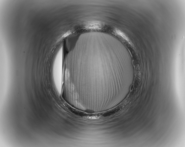 X0000084520692200703161548