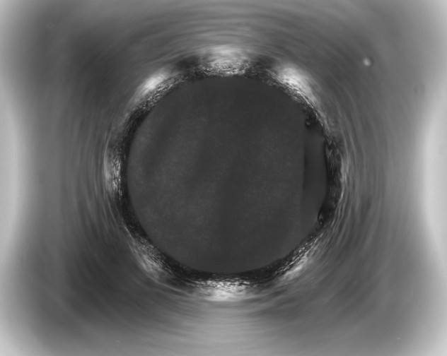 X0000084520693200703161548