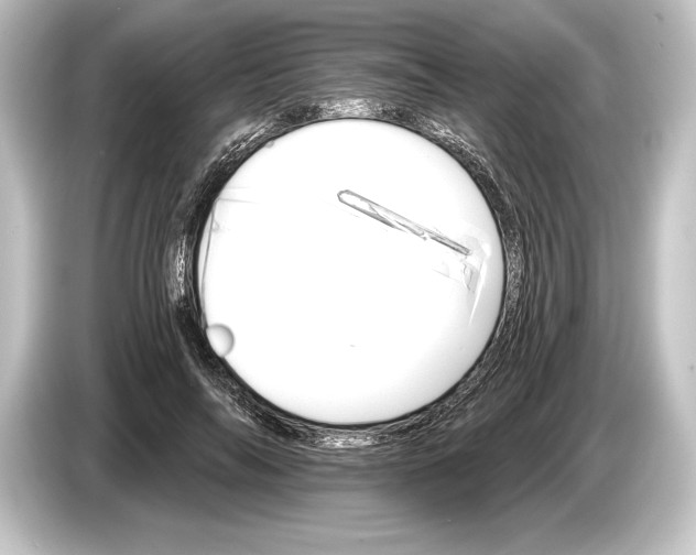 X0000084520694200703161548