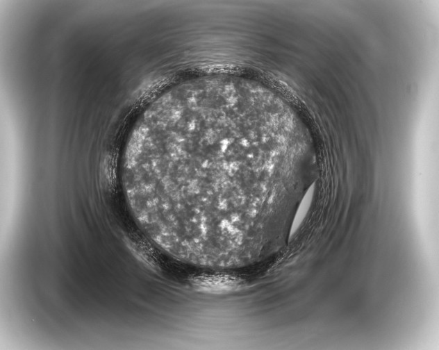 X0000084520695200703161548