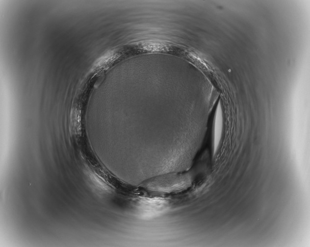 X0000084520696200703161548