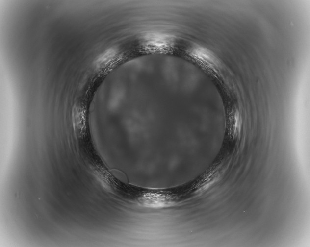 X0000084520699200703161548