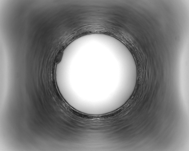 X0000084520700200703161548