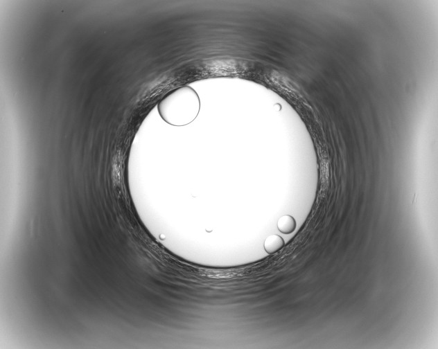 X0000084520702200703161548