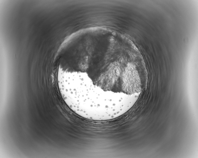 X0000084520703200703161548