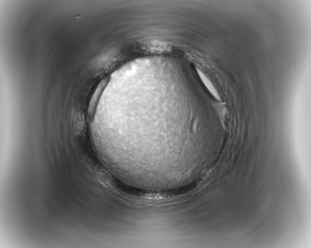 X0000084520704200703161548