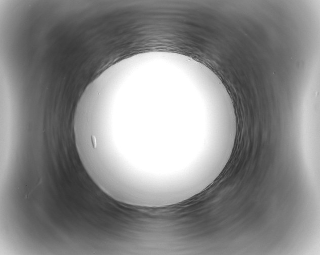 X0000084520705200703161548