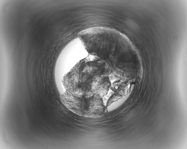 X0000084520707200703161548