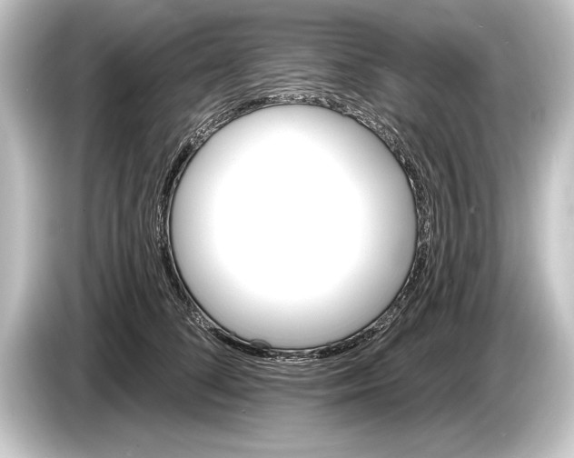 X0000084520708200703161548