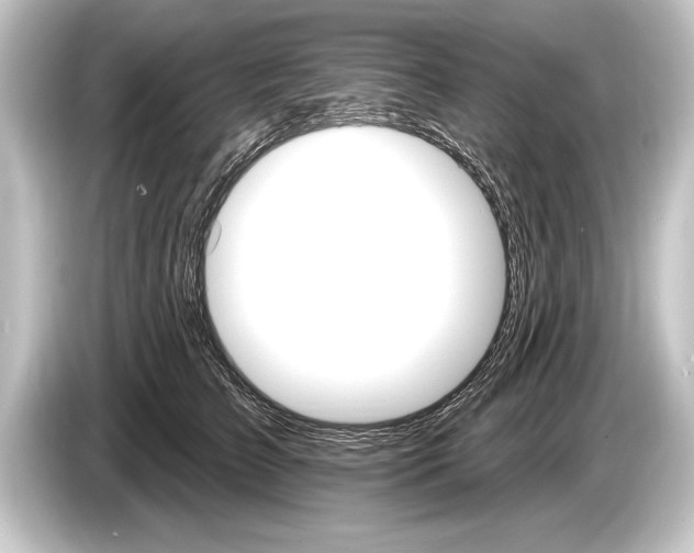 X0000084520709200703161548