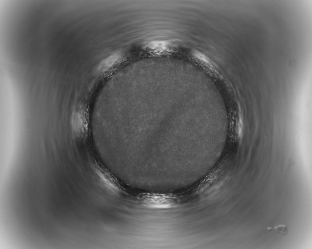 X0000084520710200703161548