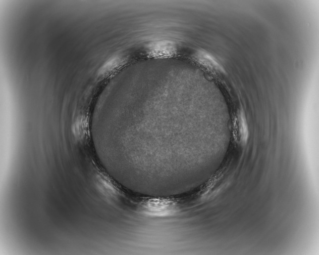 X0000084520714200703161548