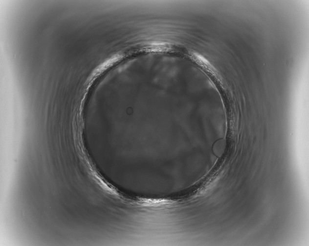 X0000084520721200703161547