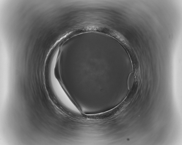 X0000084520722200703161547