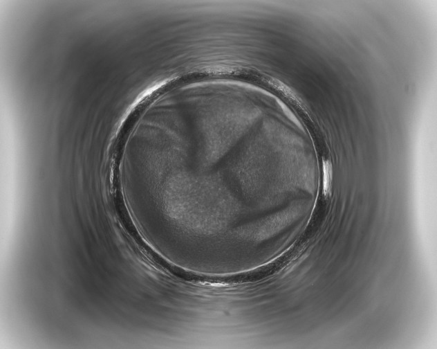 X0000084520723200703161547