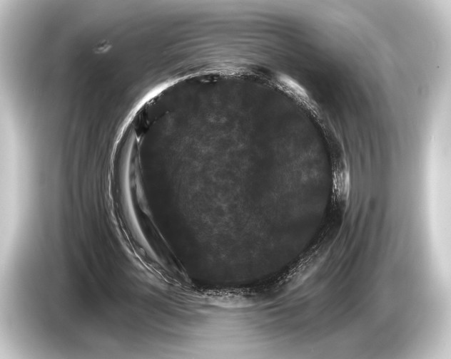 X0000084520724200703161547