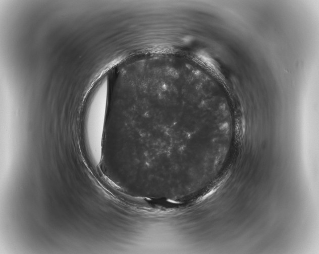 X0000084520725200703161547