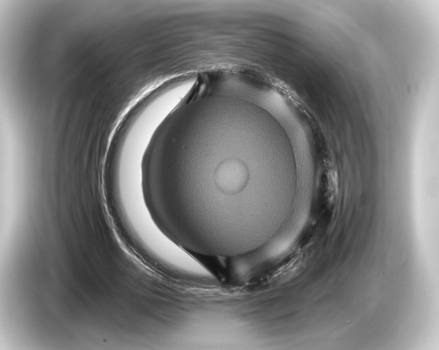 X0000084520726200703161547