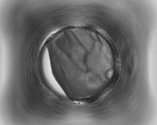 X0000084520727200703161547