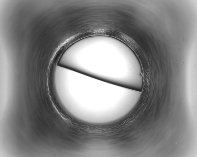 X0000084520728200703161547