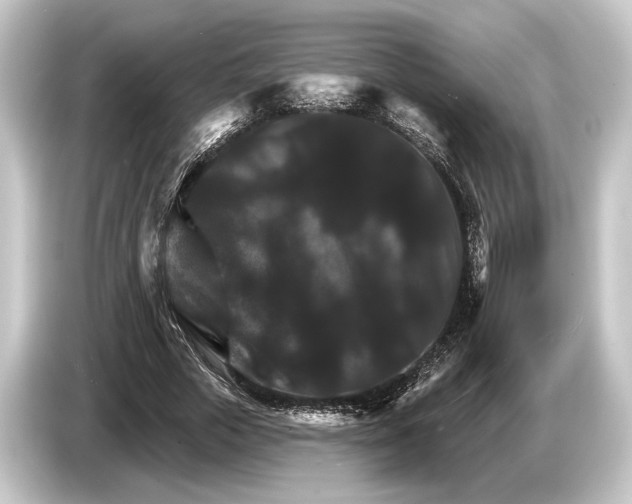 X0000084520729200703161547