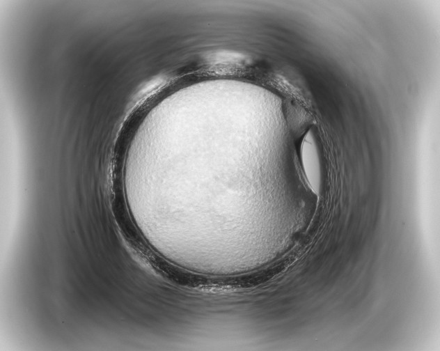 X0000084520730200703161547