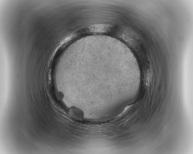 X0000084520731200703161547