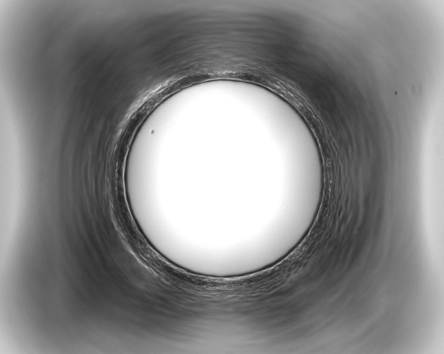 X0000084520732200703161547