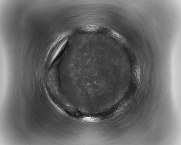 X0000084520734200703161547