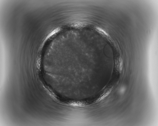 X0000084520735200703161547