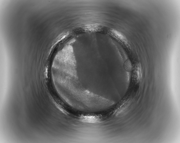 X0000084520738200703161547