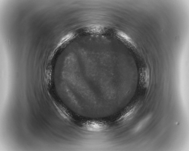 X0000084520739200703161547