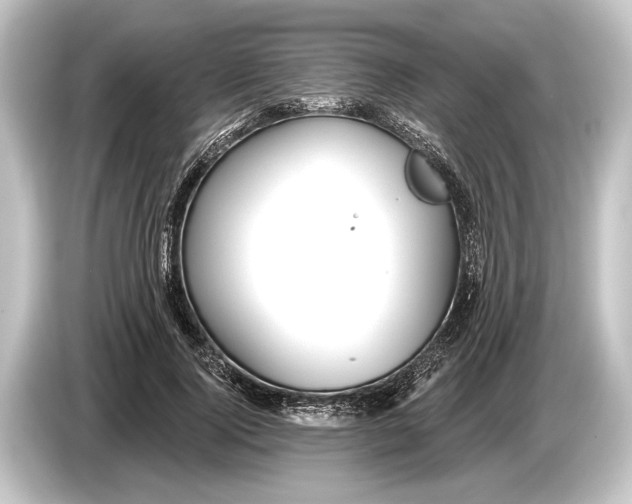 X0000084520740200703161547