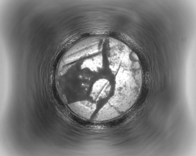 X0000084520741200703161547