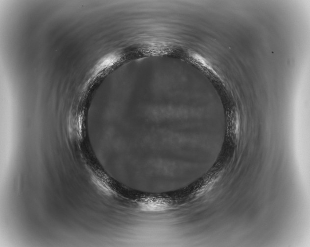 X0000084520742200703161547