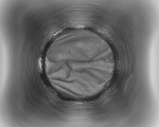 X0000084520743200703161547