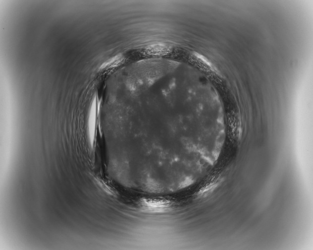 X0000084520745200703161547