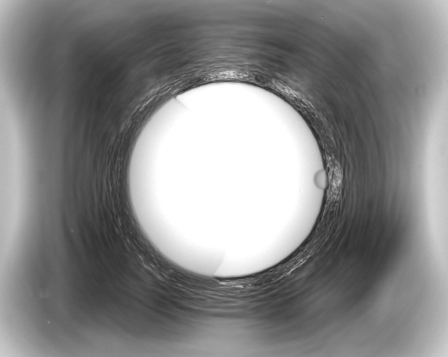 X0000084520746200703161547