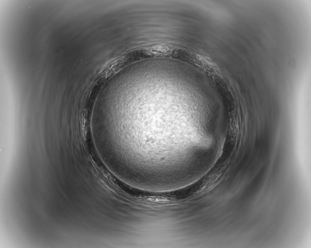 X0000084520749200703161547