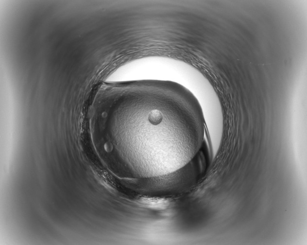 X0000084520750200703161547