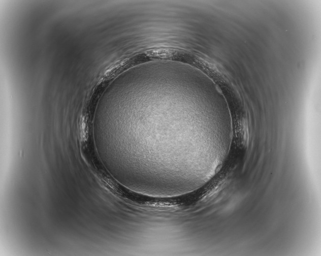 X0000084520751200703161547