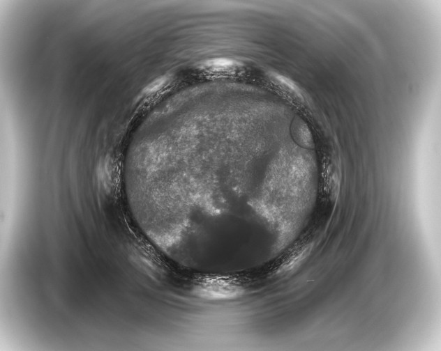 X0000084520753200703161547