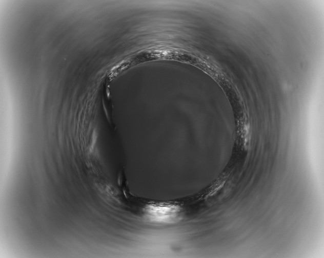 X0000084520754200703161547